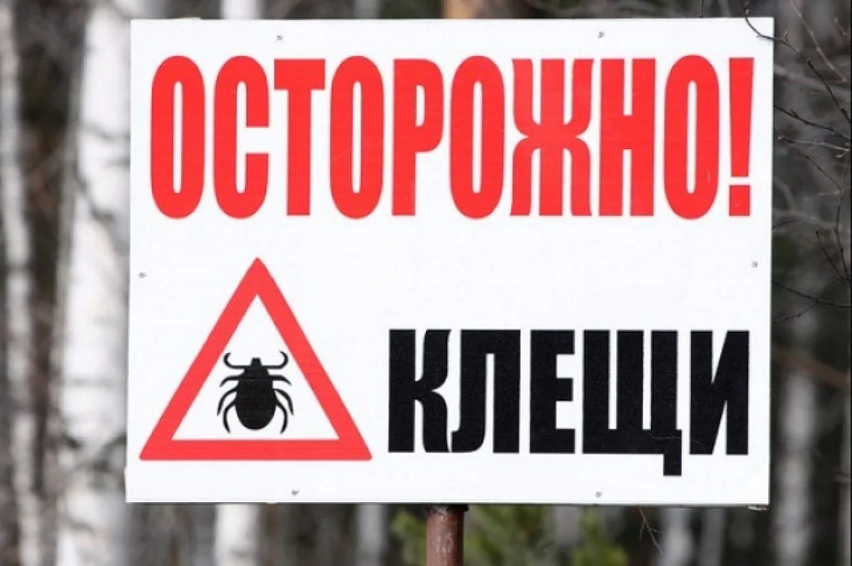 Памятка «Осторожно, клещи!» содержит важные рекомендации по профилактике укусов клещей и действиям п