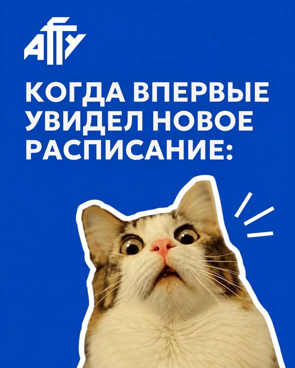 Вторая учебная неделя - проверка связи! 🎓🗣