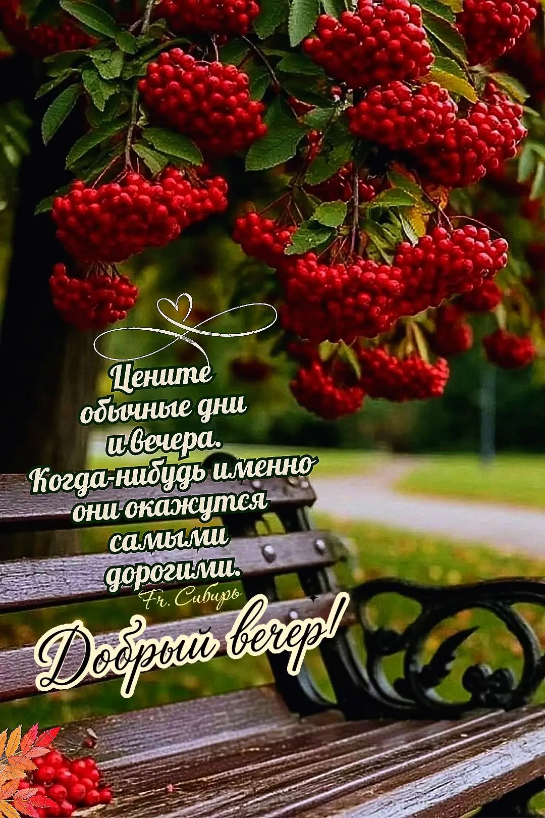 самые лучшие