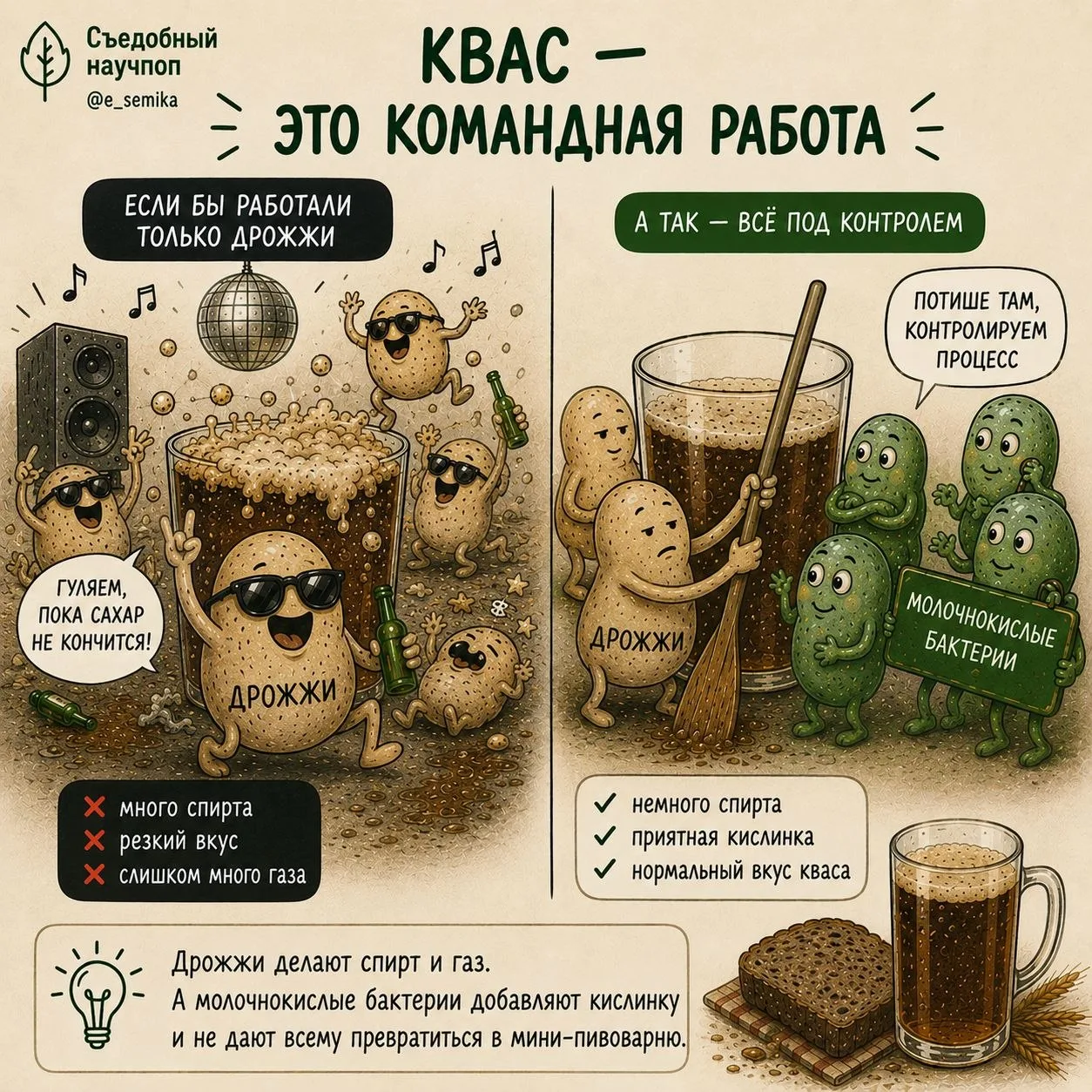 #съедобный_разбор