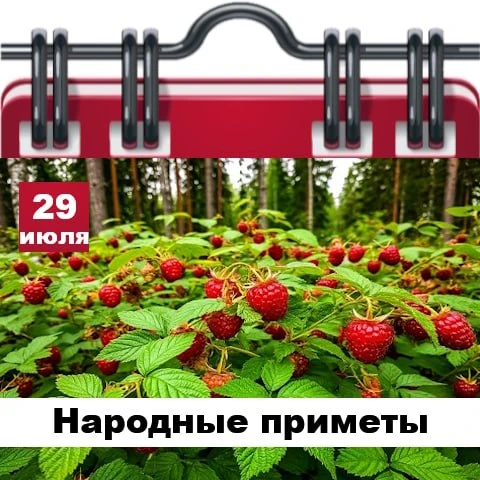 Народные приметы 29 июля

✅ Если день дождливый, ждите в ближайшие дни сырую погоду.
✅ Коршуны в неб