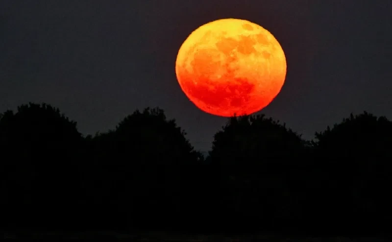 🌔Оленье полнолуние (Оленья Луна) в 2026 году наступит  в среду , 29 июля в 17.36 по московскому вре