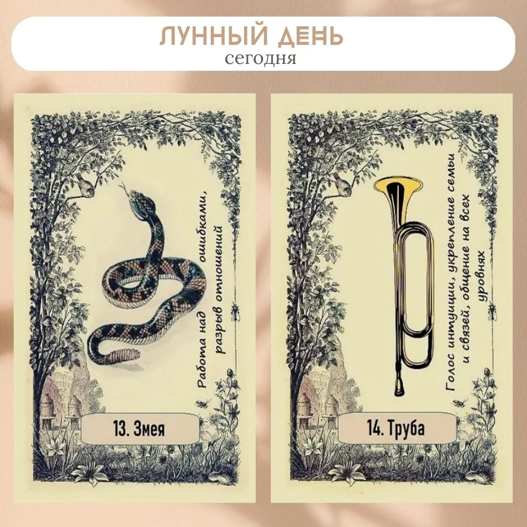 Сегодня 27 июля 2026, 13-14 лунный день.

🌙 Растущая луна. Луна в знаке Козерог. Очень хорошо на эн