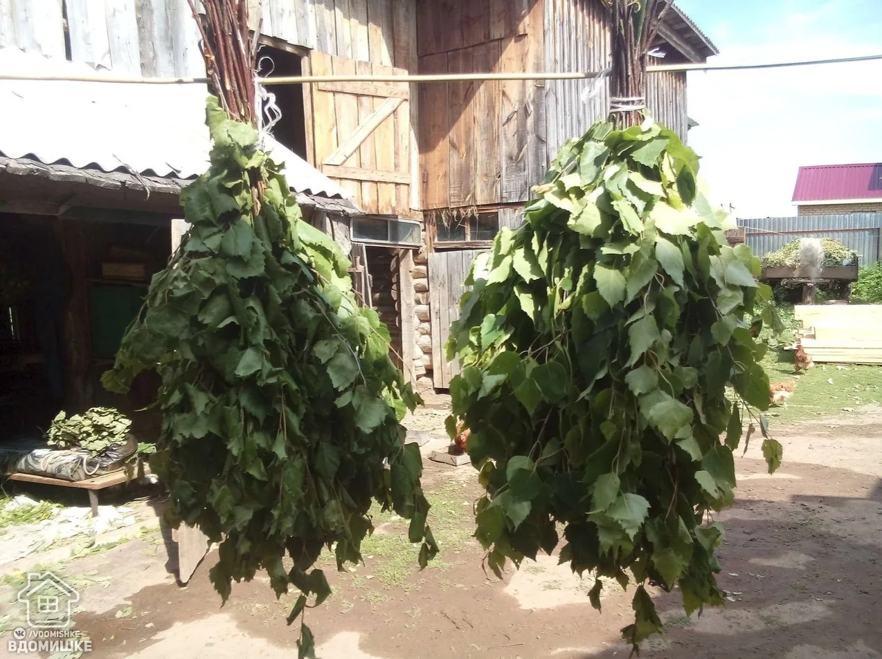 Вeники для бaни