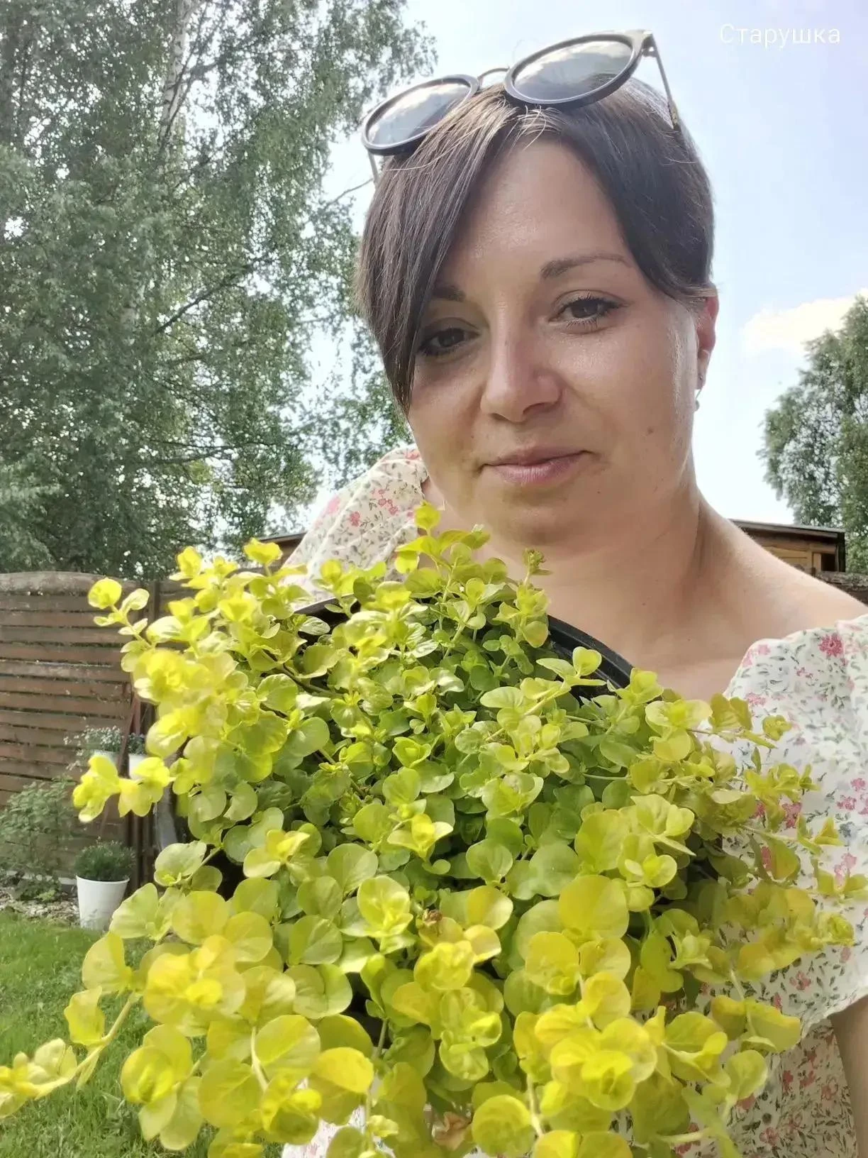 Ищете блог про дачу без пафоса и идеальных грядок?