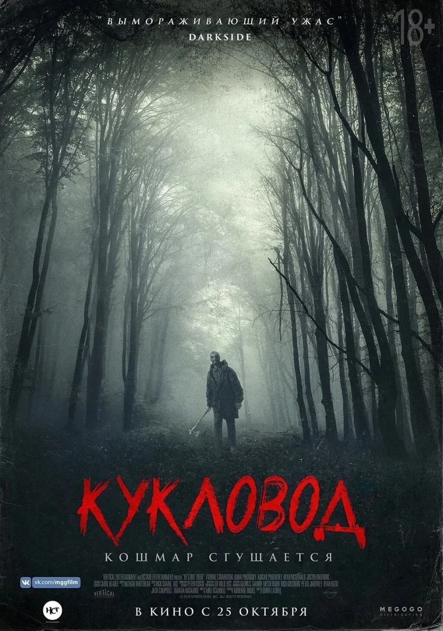 Подборка недооценённых, но жутких ужастиков и триллеров на вечер — эти картины могли пройти мимо вас