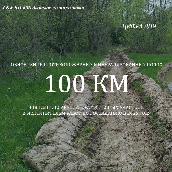 100 км защиты: обновлены противопожарные минерализованные полосы

С начала года силами арендаторов л