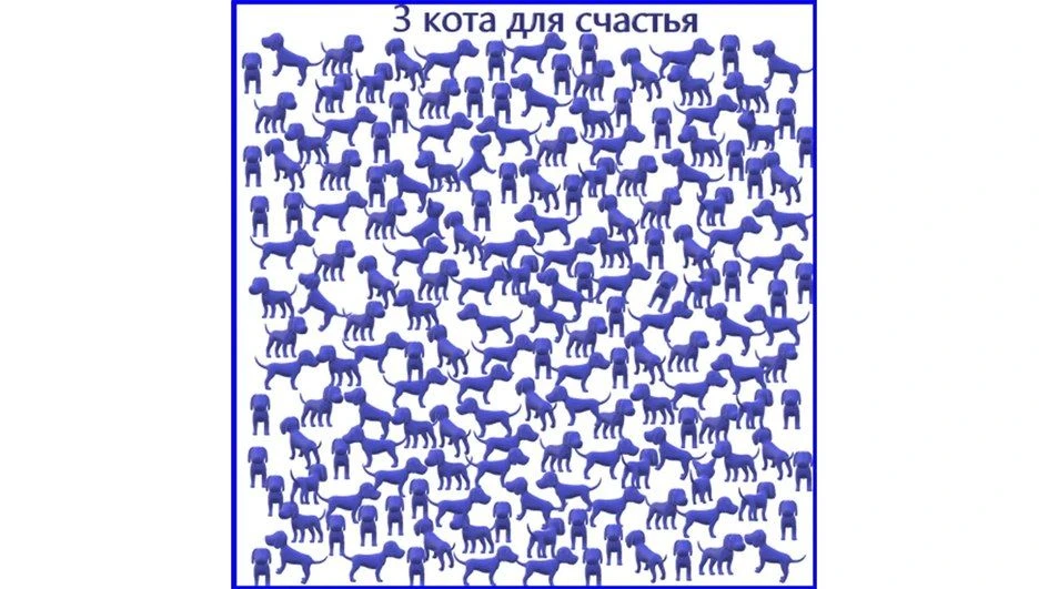 🔍 Найдите трёх котов среди синих собак