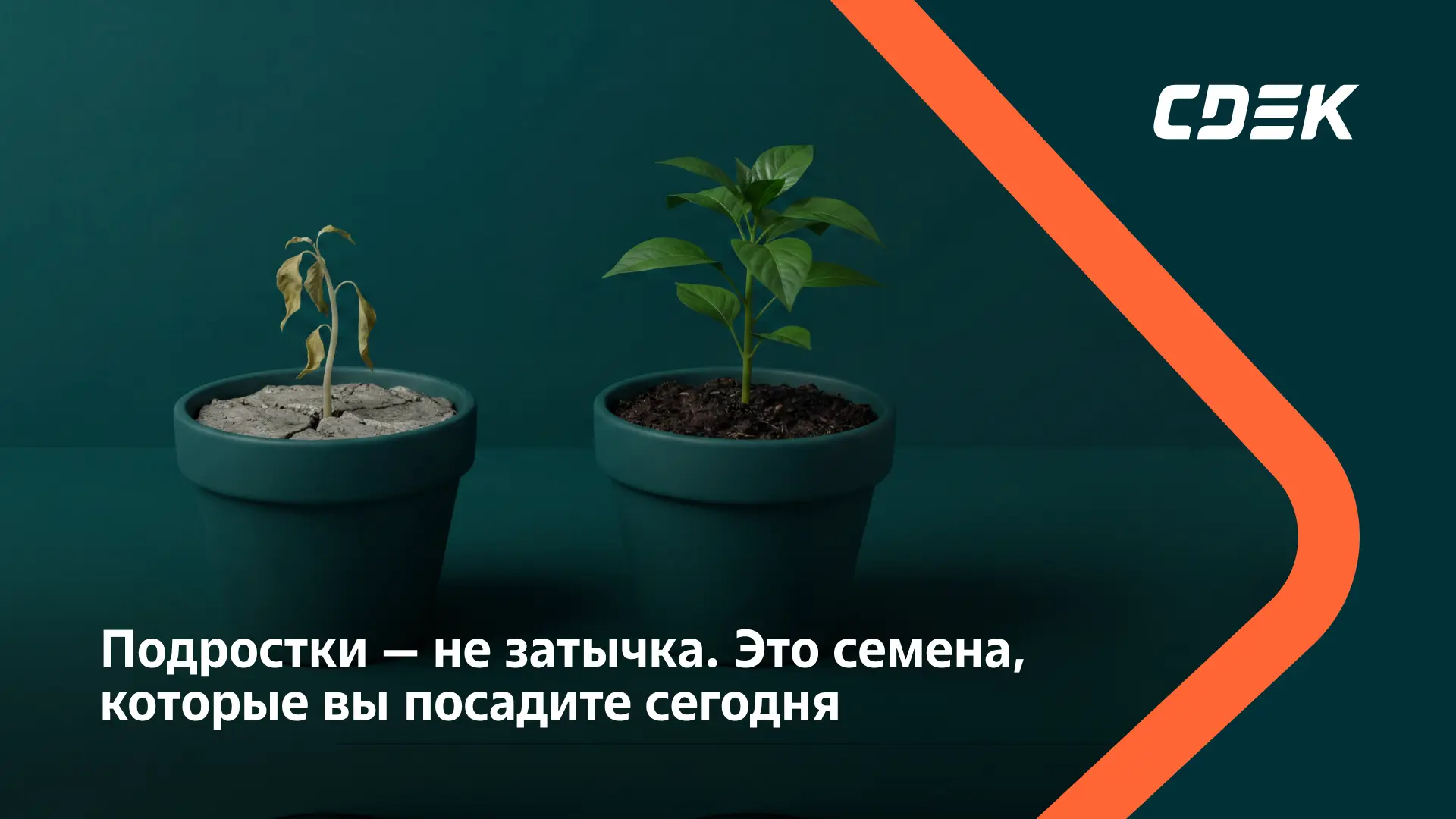 Компании, которые берут школьников на лето, делятся на два типа. Одни закрывают вакансии. Другие рас