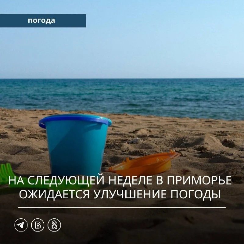 🌦️ Синоптики: погода в Приморье должна улучшиться на следующей неделе, но не везде