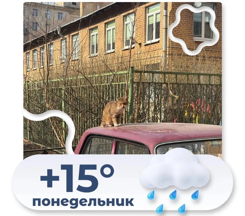 Сегодня, 24 августа, в Невском районе ожидается пасмурная прохладная погода. Температур...