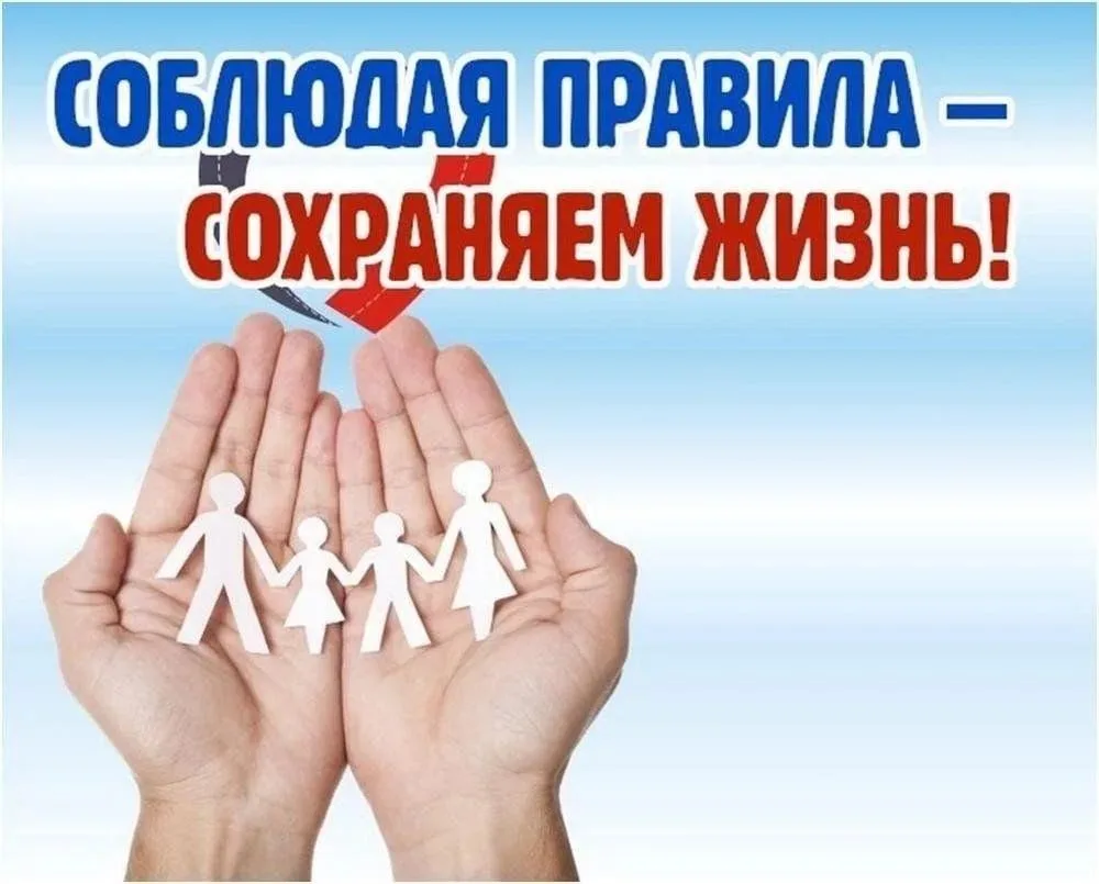 🚦 Месячник безопасности: учимся видеть опасность раньше, чем она станет проблемой