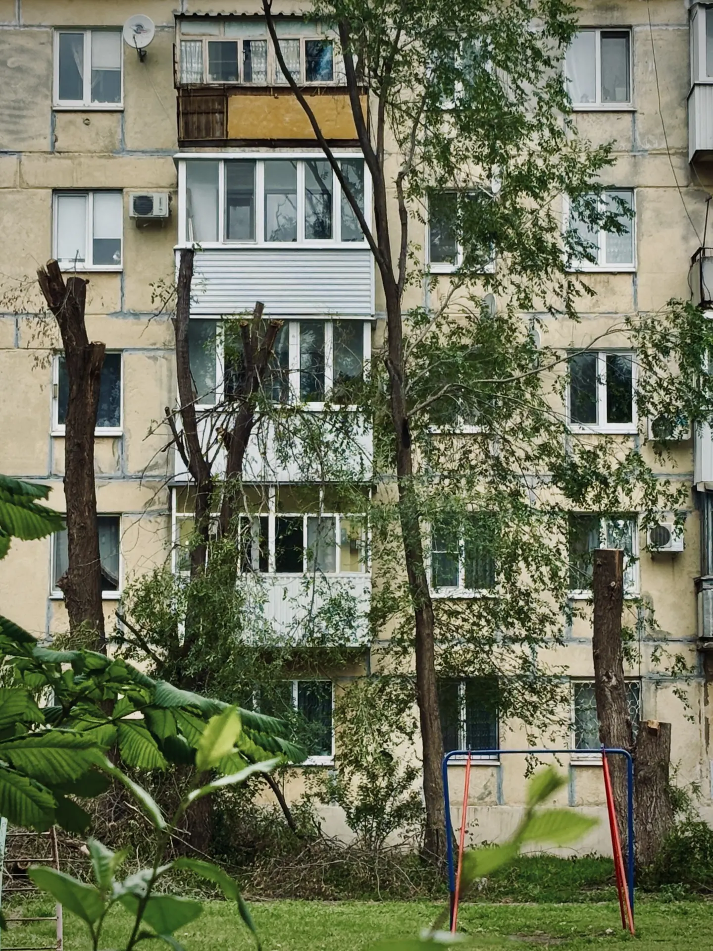 🌳🪚 Убираем угрозу: умная опиловка от «Образцово Отрадный»