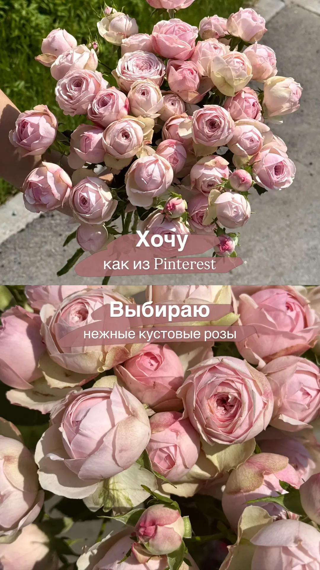 Для тех, кто дарит не букет, а эмоцию ☺️🤍 

Ждем вас за самыми красивыми и яркими букетами !
✨

Нап