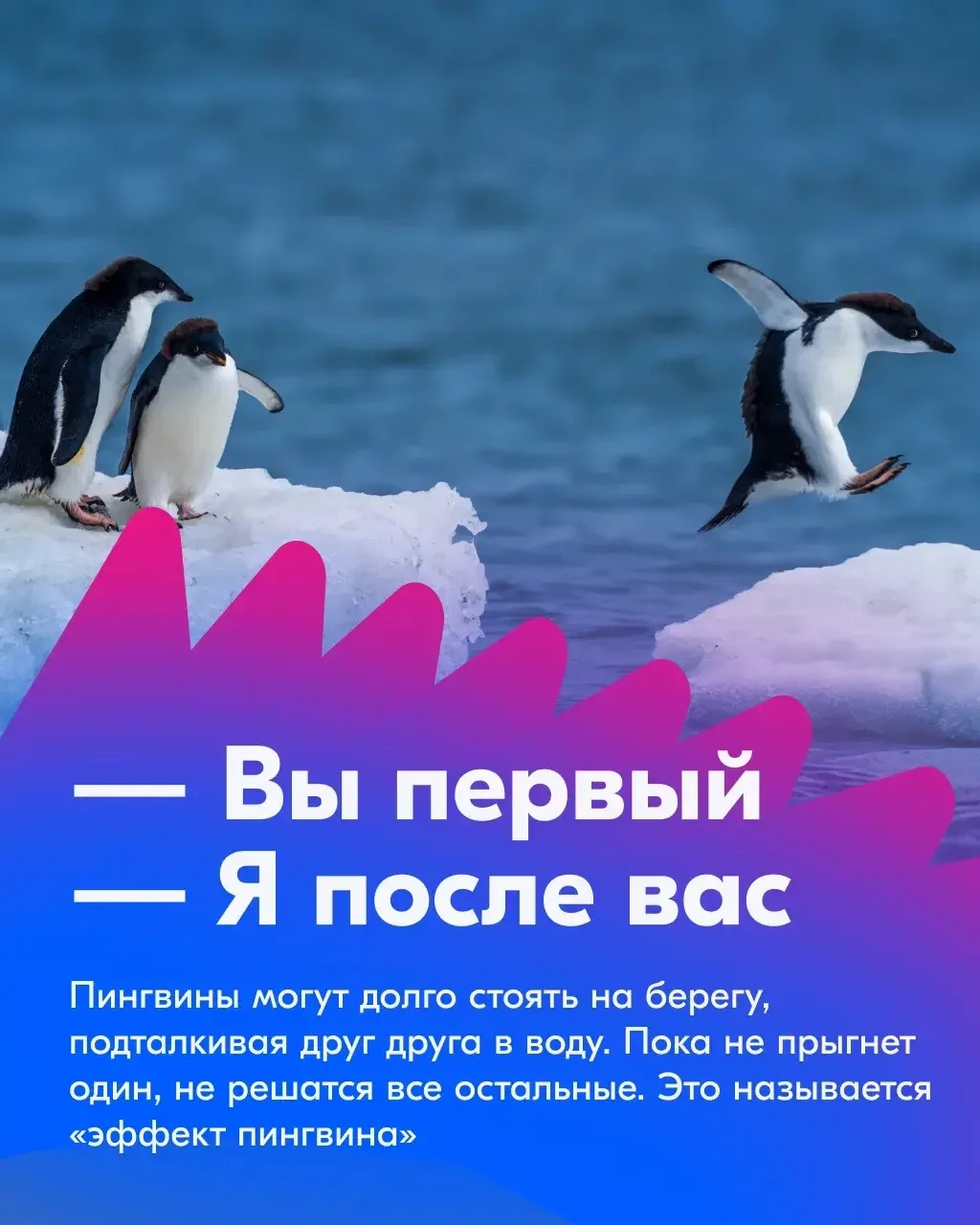 Ловим волну! Делаем ноги! Улыбаемся и машем!   😊 Ко Всемирному дню пингвинов подготовили несколько т