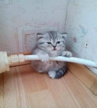 🔖 Отопительный сезон в Ярославле начался в этом году 1 октября. На подключение всех до...