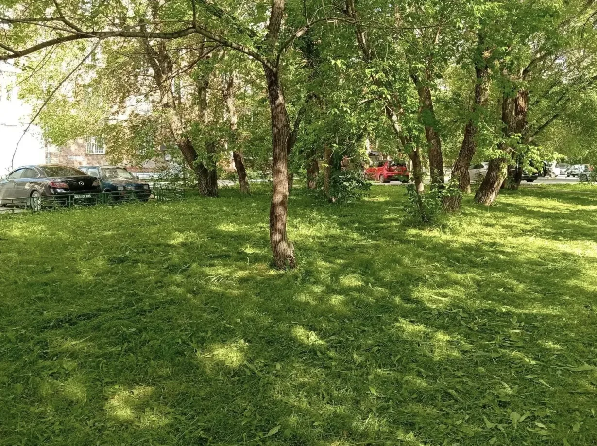🗓️18.06.2026

✅🏠М. Захарова, 11 к.2/3