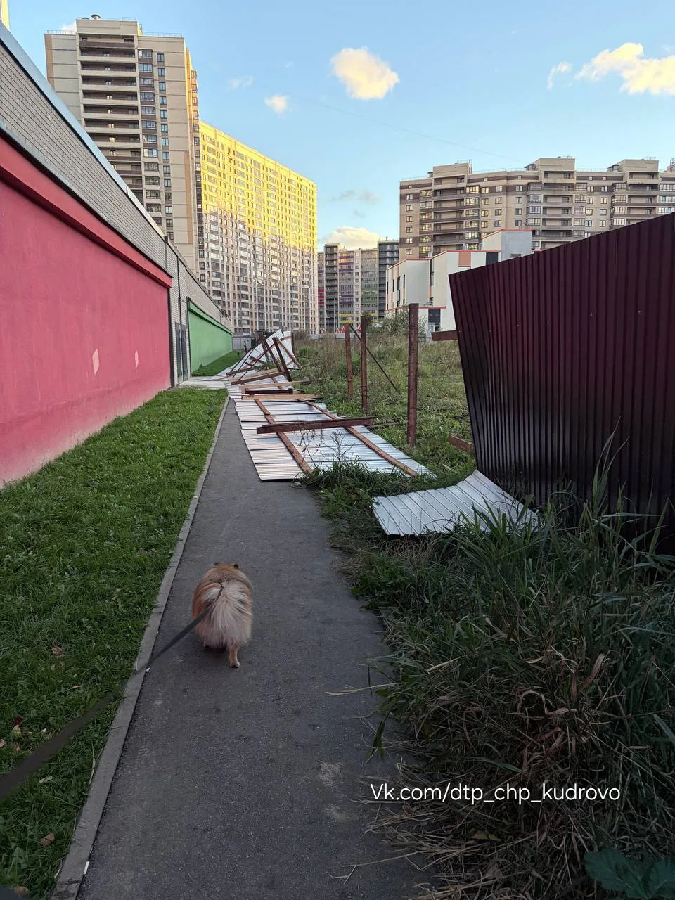 Нормально так забор Дирекция КРТ ЛО установили, на своем участке 👍🏻