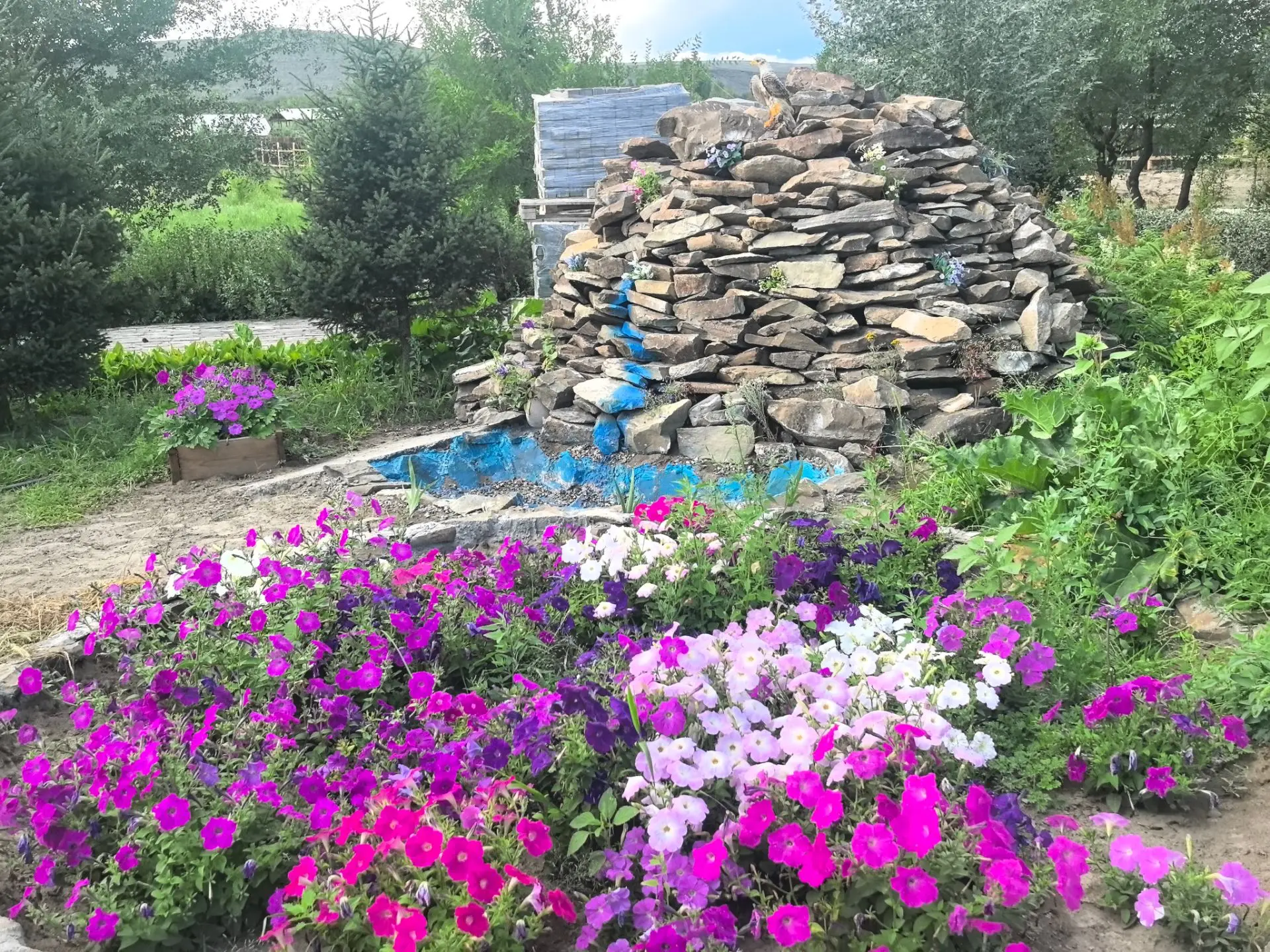 Ботанический сад ТувГУ готовится к IV Международному буддийскому форуму! 

🌿 Идёт активная подготов