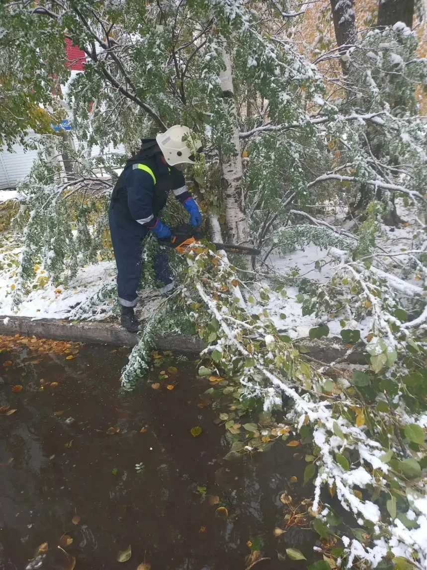 В Сургуте восстановили электричество во всех 28 СНТ после непогоды