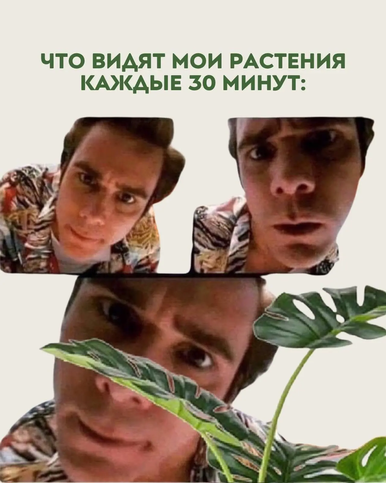 Ну а что?😂🪴

Когда дома живут растения, на них действительно хочется смотреть снова и снова. Согла