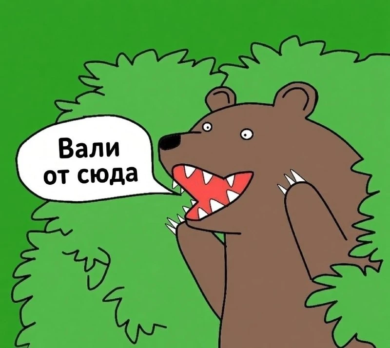 Нашествие медведей в Сибири вынуждает людей покидать целые деревни.