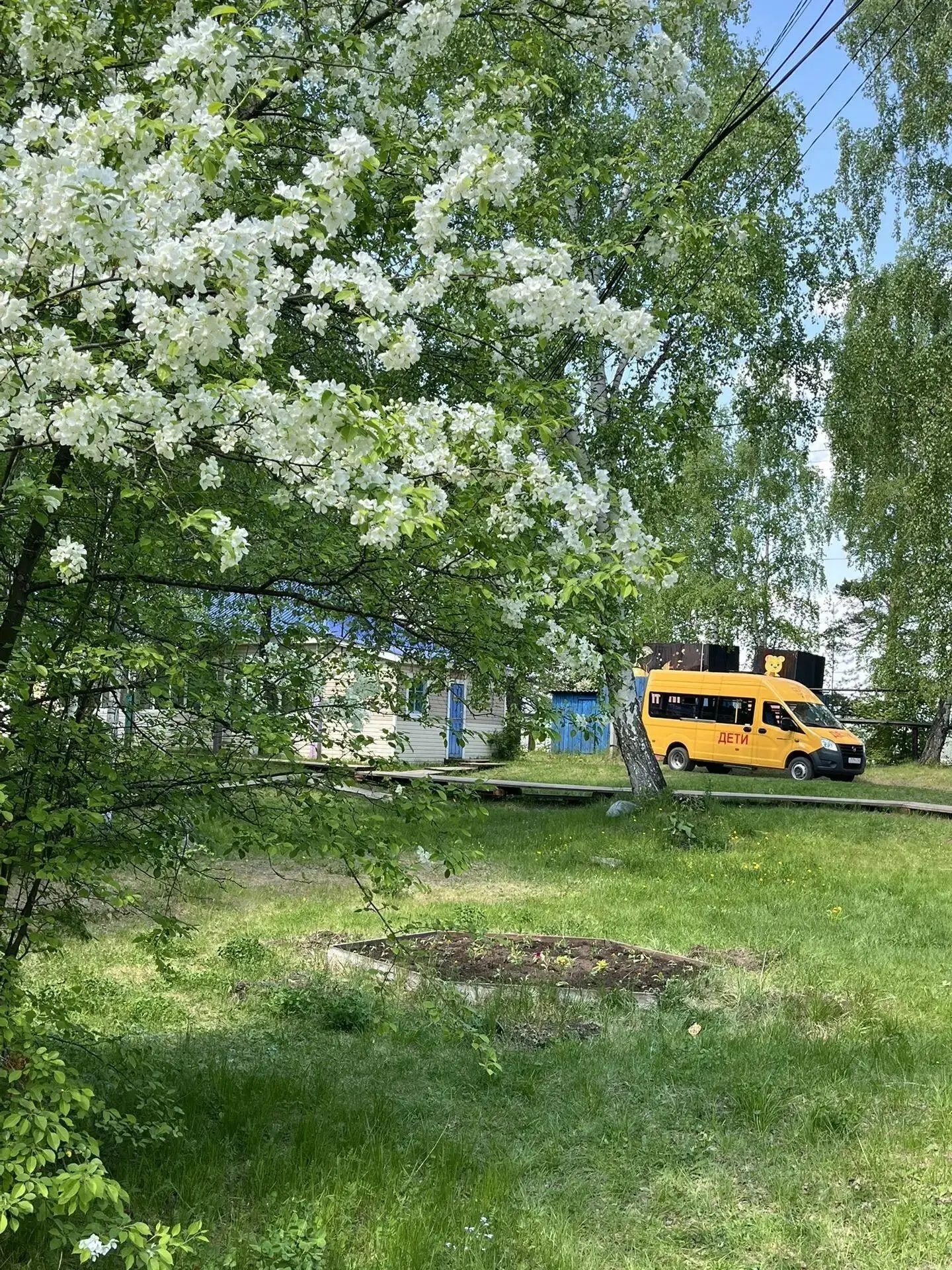 🌿 "Березка" становится еще краше:🌸

С огромной теплотой и благодарностью директор оздоровительного