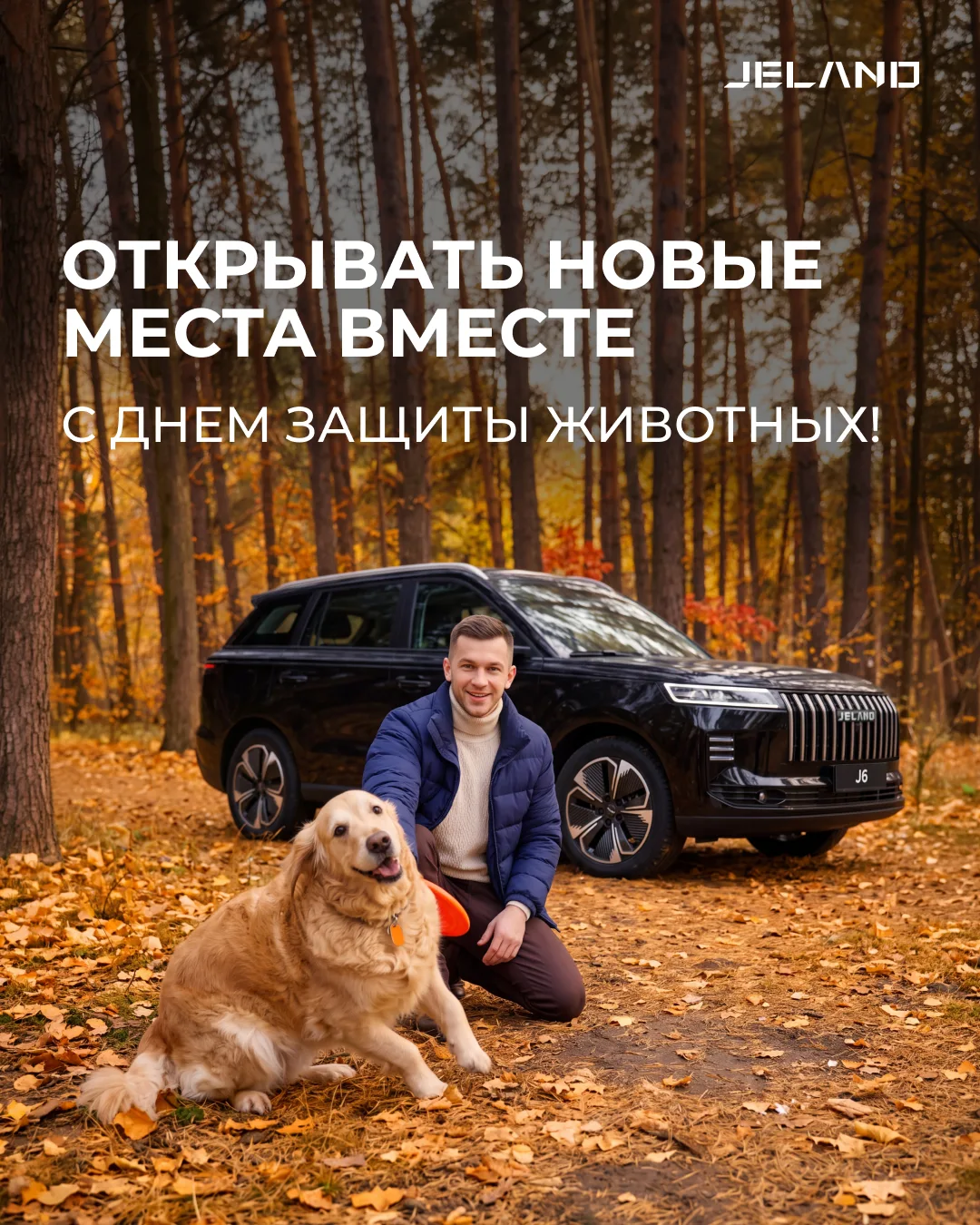 Путешествие с четвероногим другом — отдельный вид удовольствия 🐕