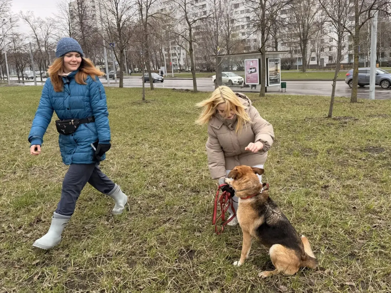 Всероссийская акция «Носики первых»: наши студенты подарили заботу приюту «Бескудниково»   🐕 В рамка