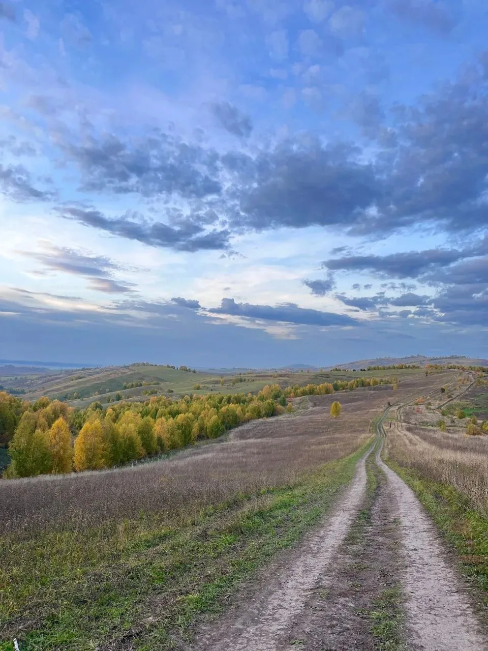 Осенних красок в ленту.
