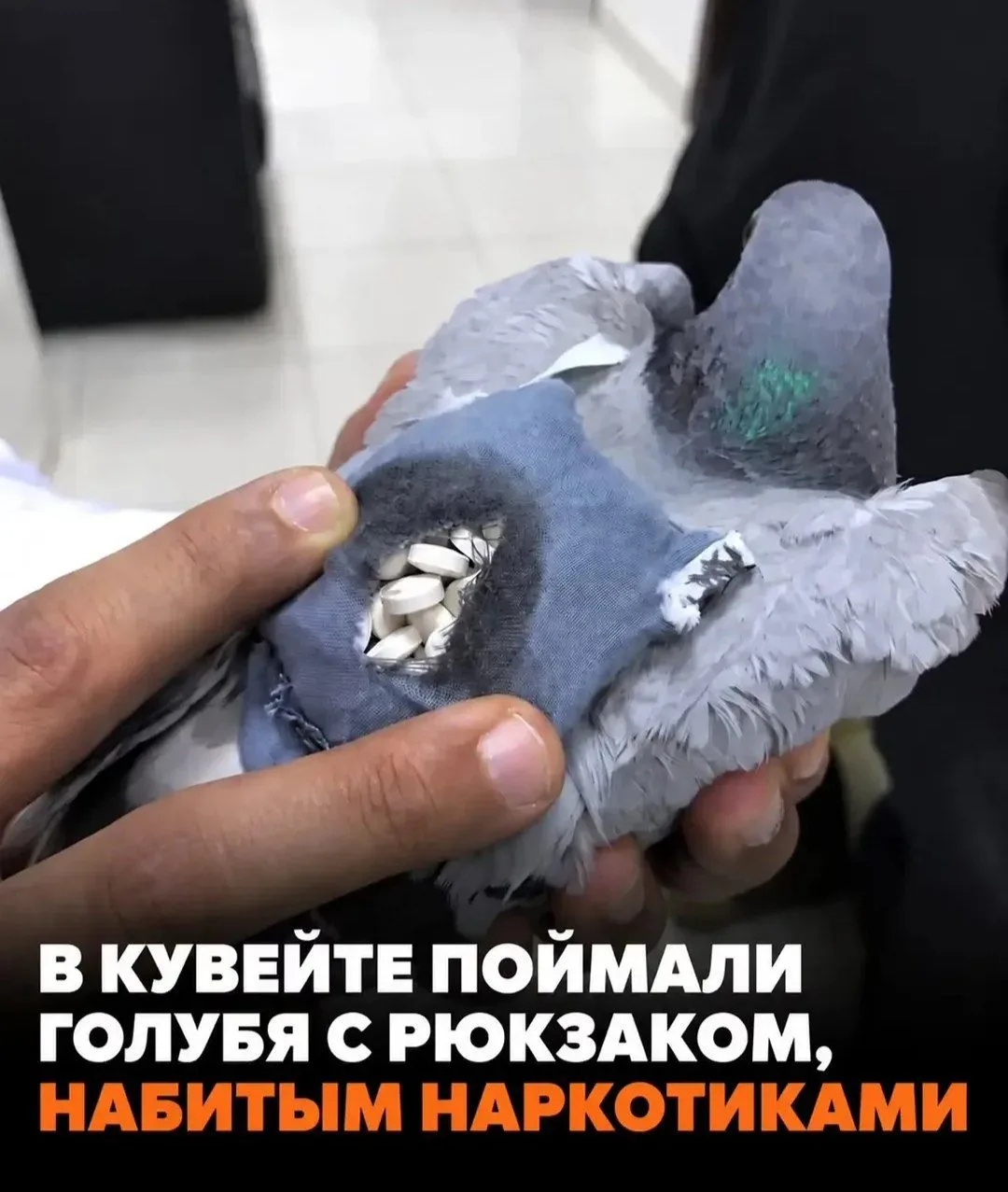 Клянусь, подкинули