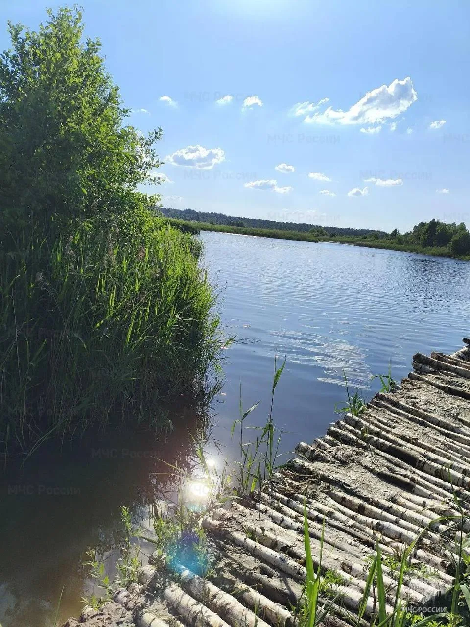 Тело подростка подняли из воды в Клинцовском районе Брянщины

Вчера, 11 июня, в оперативную дежурную