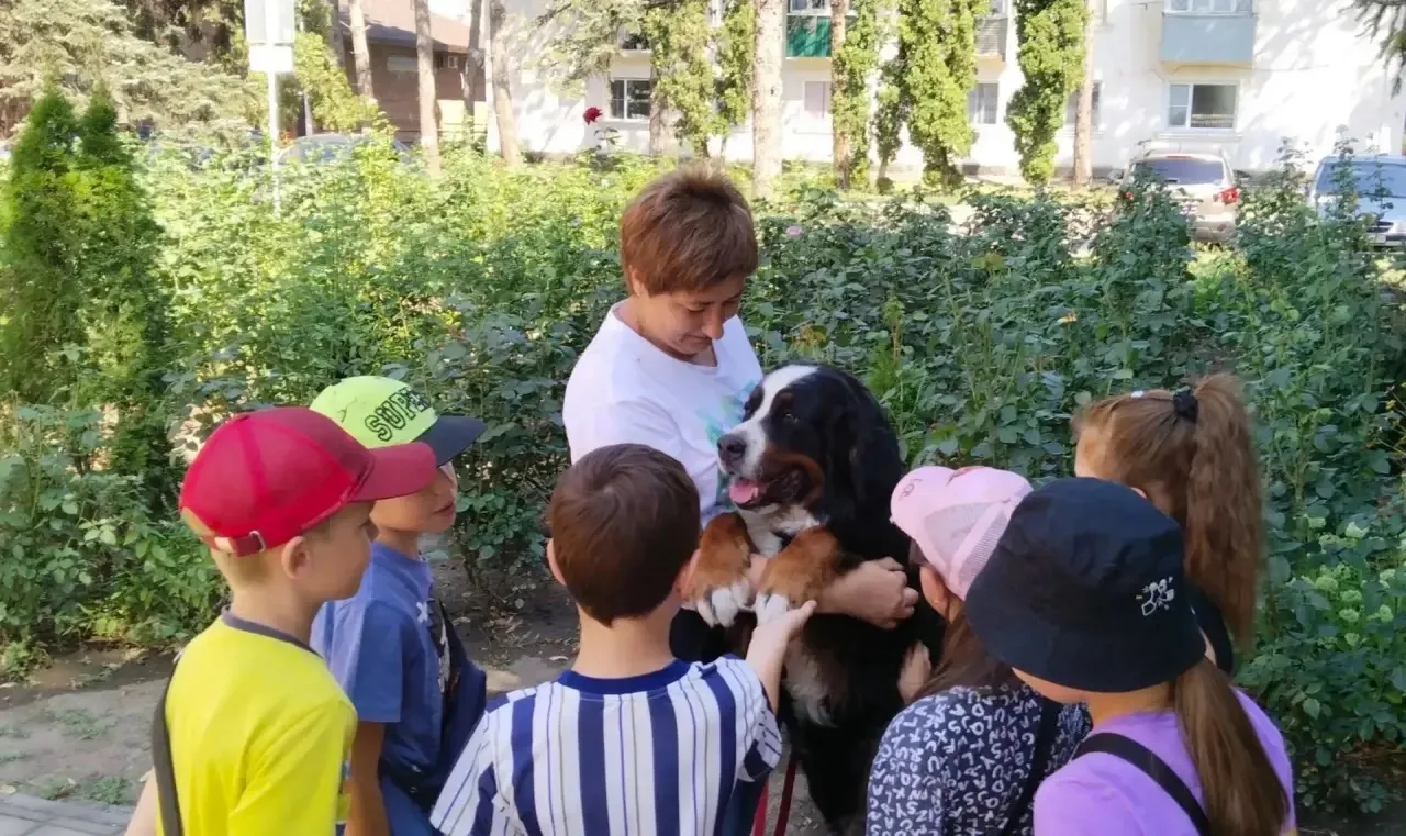 🐾«День больших ушей и добрых лап»: Учимся дружить с собаками!