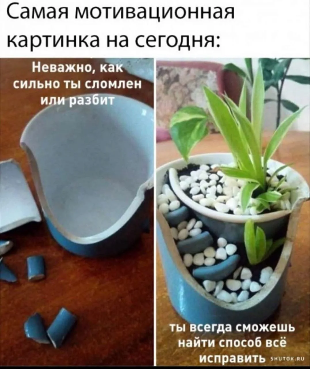 Вчера мне на глаза попалась книга по садоводству. И там в разделе "Скорая помощь растен...