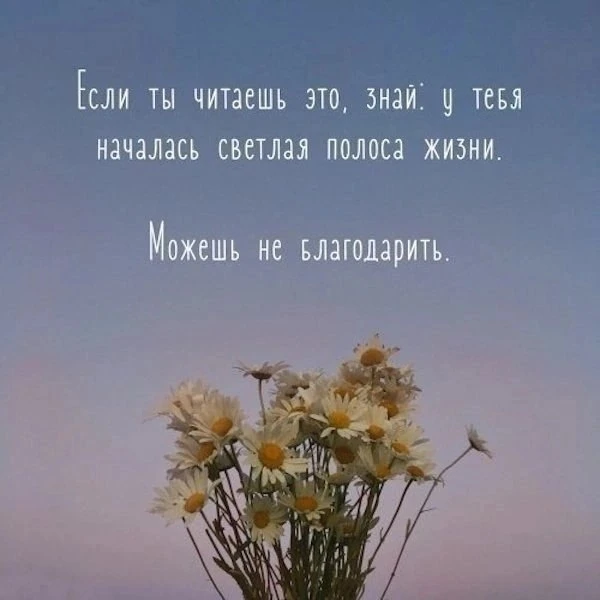 🇷🇺  Мы в МАХ : https://max.ru/dusha_angela_new
