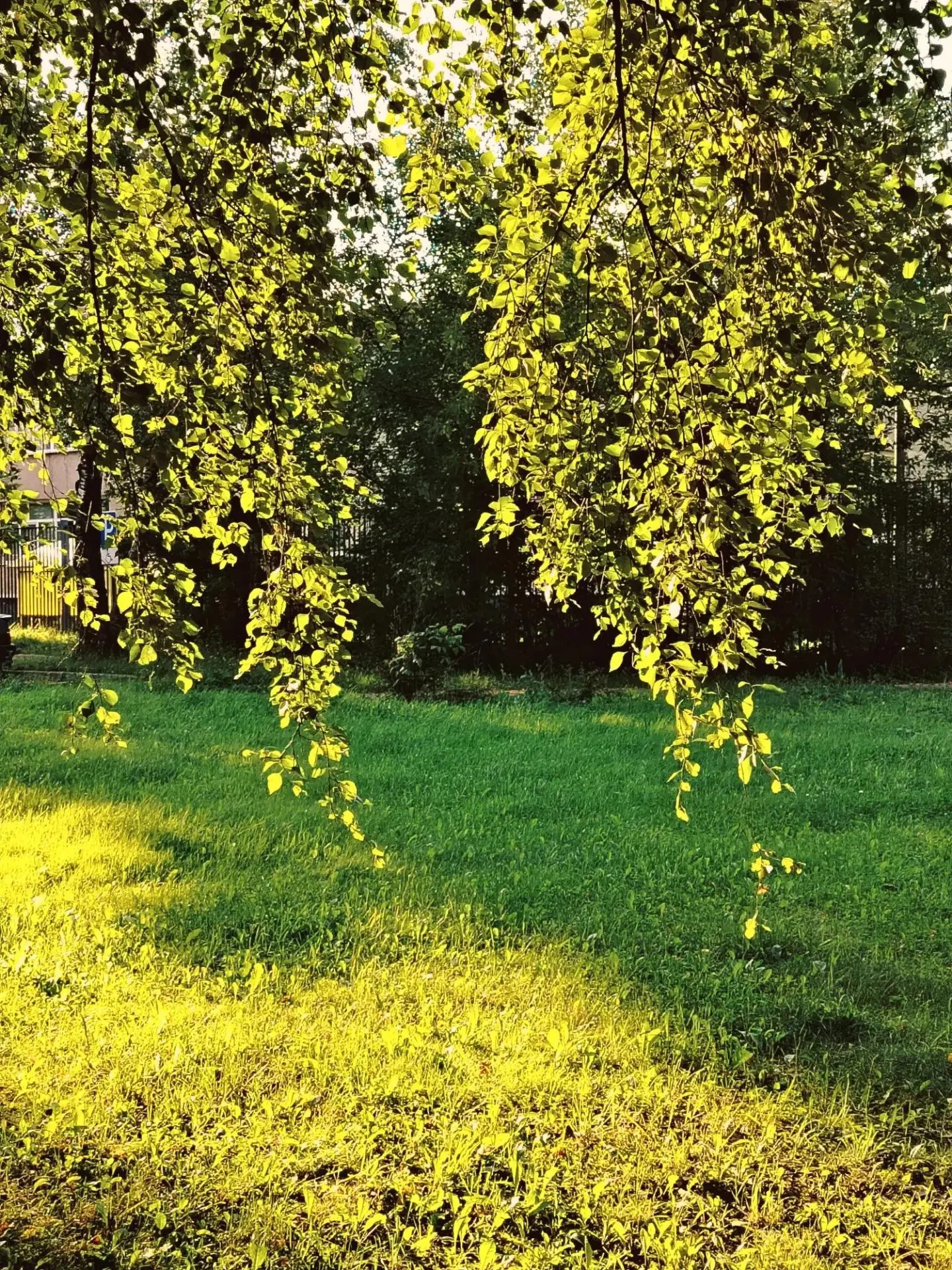 От читателя: Солнышко ☀️☀️☀️