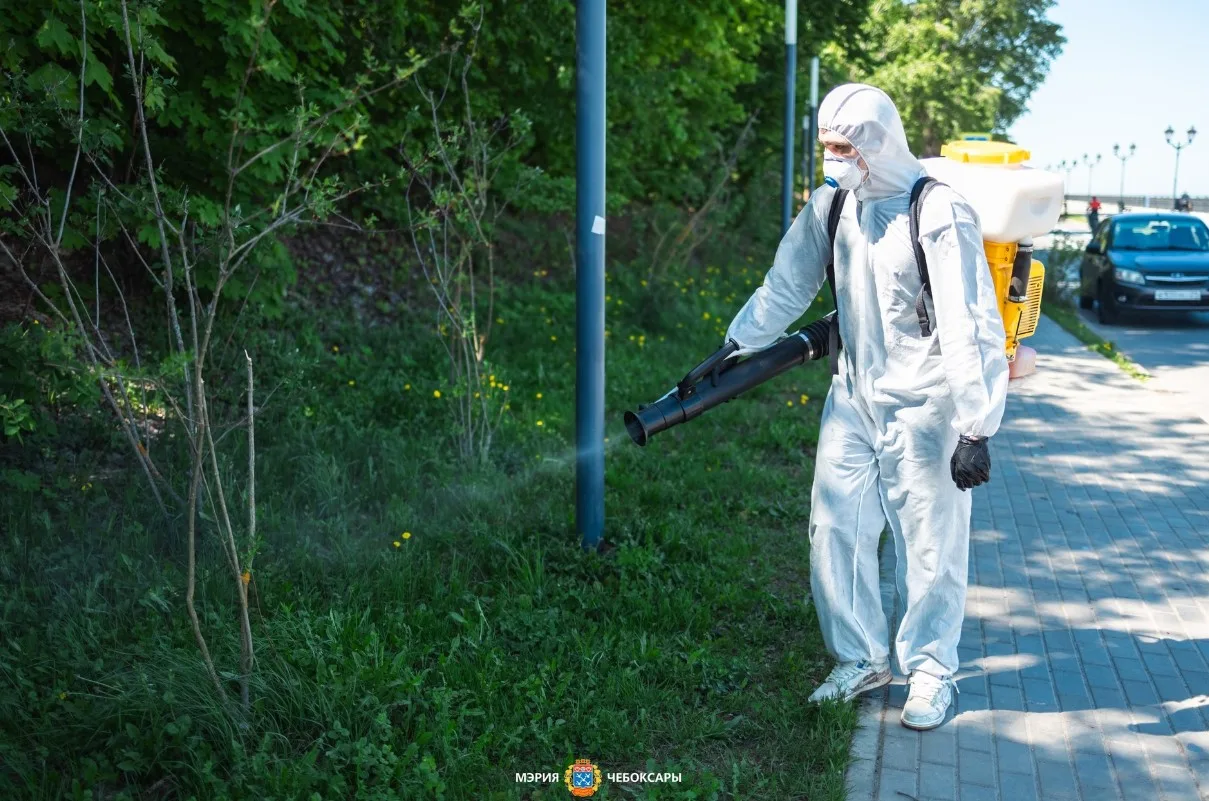 В Чебоксарах специалисты АО «Зеленстрой» продолжают работу над благоустройством города     Сегодня б