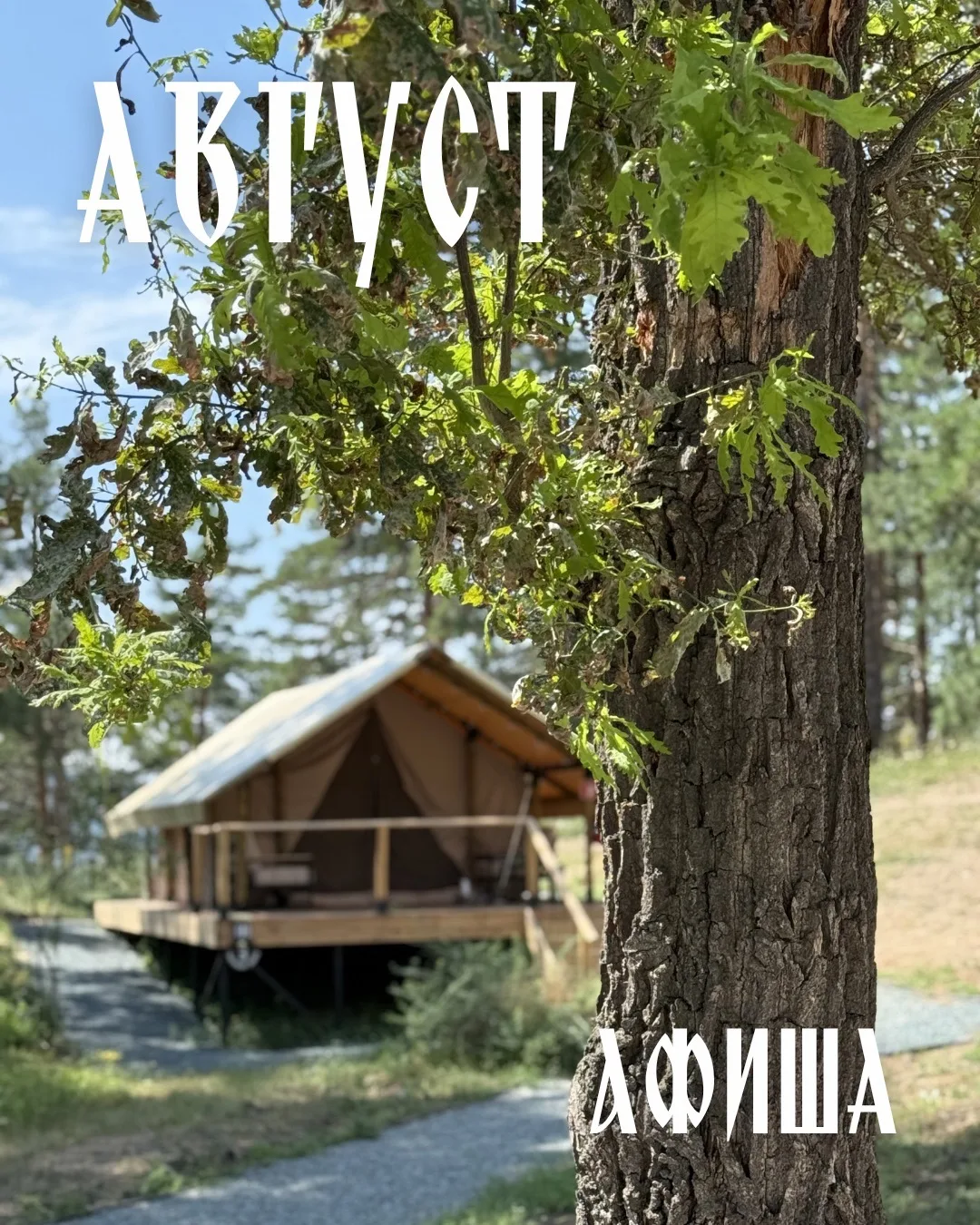 Август в «Маламут Ленде»