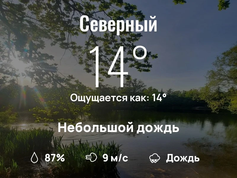 Что с погодой в Северном?