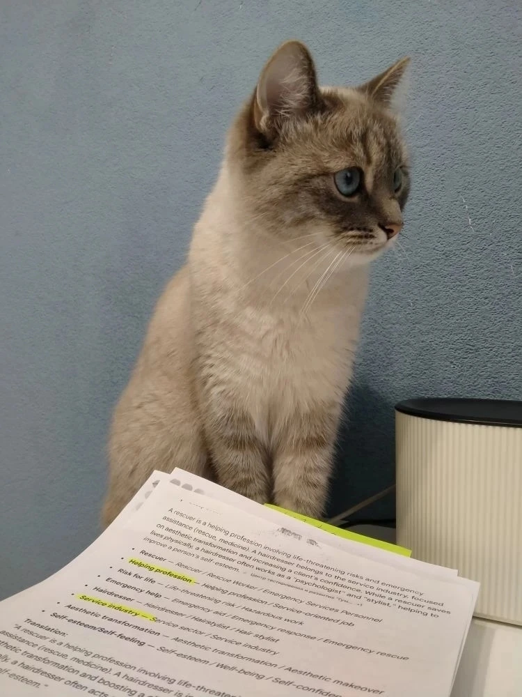 Опубликуйте, пожалуйста. Пропала кошечка (83 дом).
Домашняя, может быть пугливой с чужими людьми. Ды