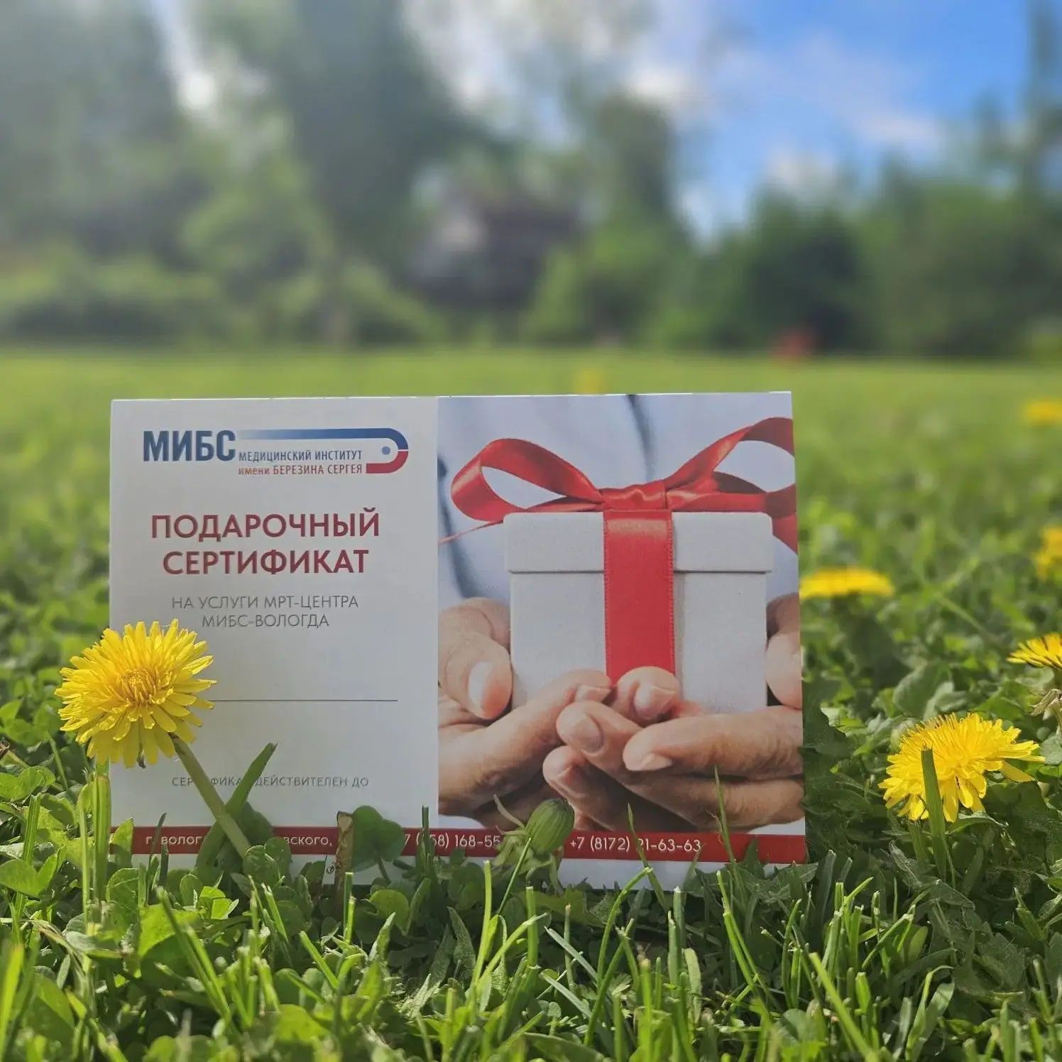 ✨ Что такое любовь? В первую очередь, это забота и нежность. ✨