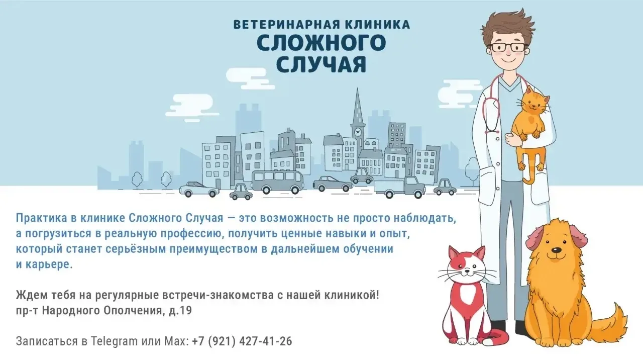 🩺 Клиника «Сложного Случая» приглашает студентов на стажировку и практику

Здесь студенты становятс