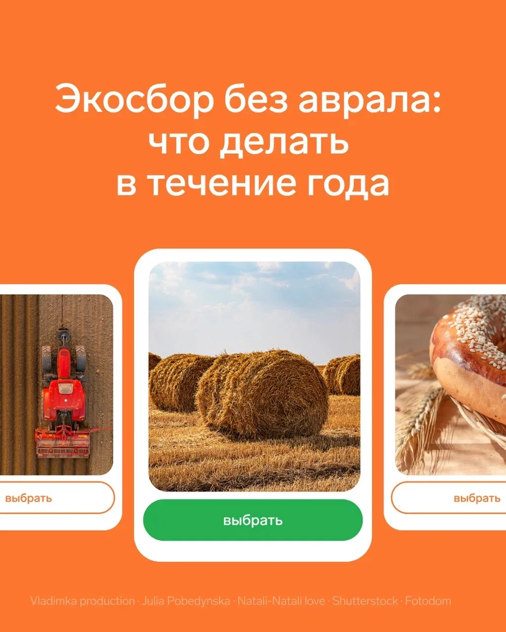 Экосбор без аврала: что делать в течение года