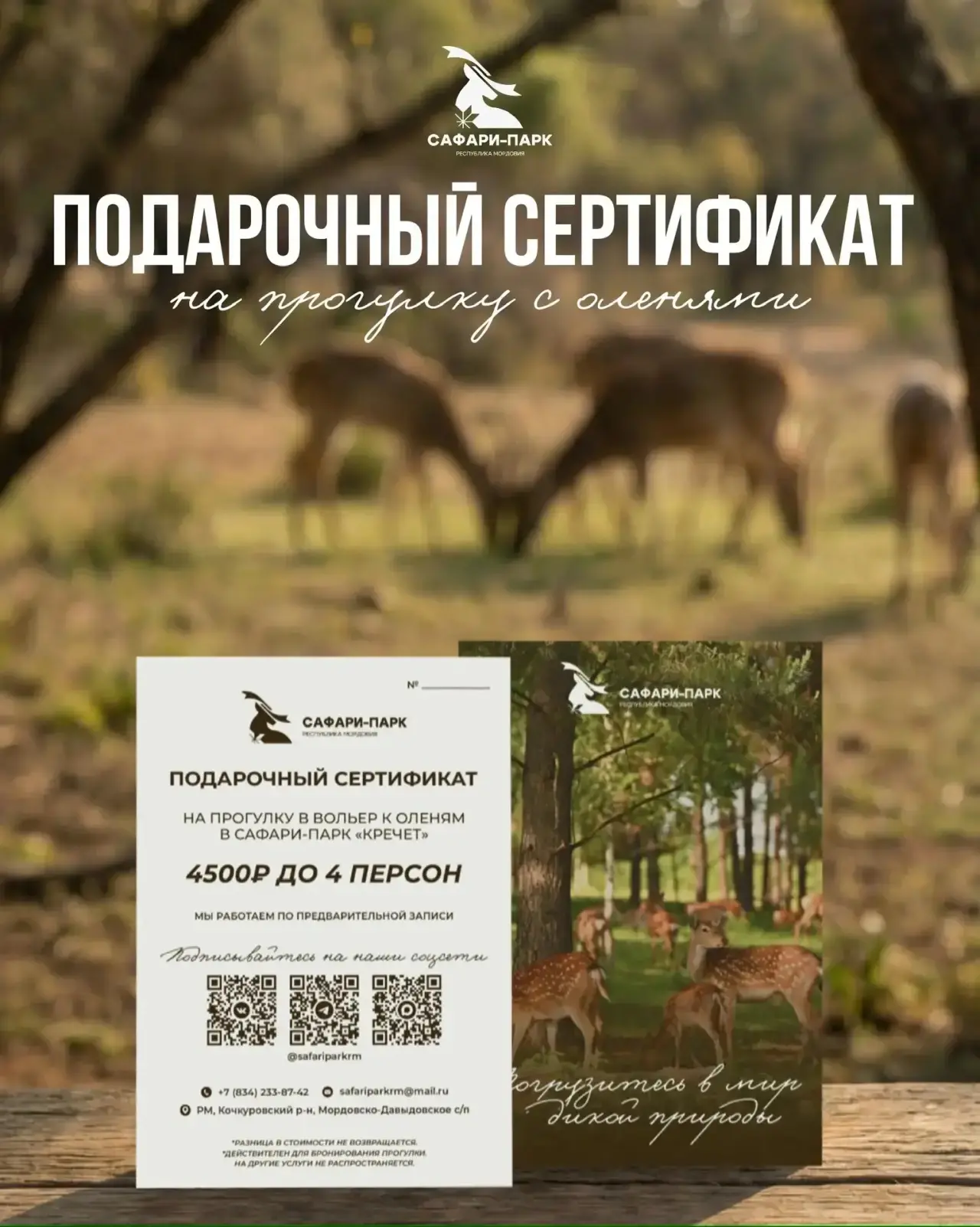 Хочется подарить близким не просто вещь, а настоящие эмоции? ✨