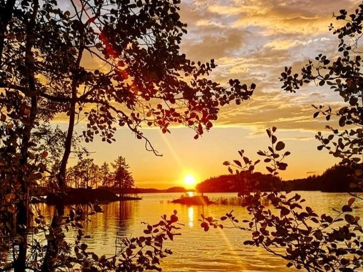 🌞 Доброе утро!