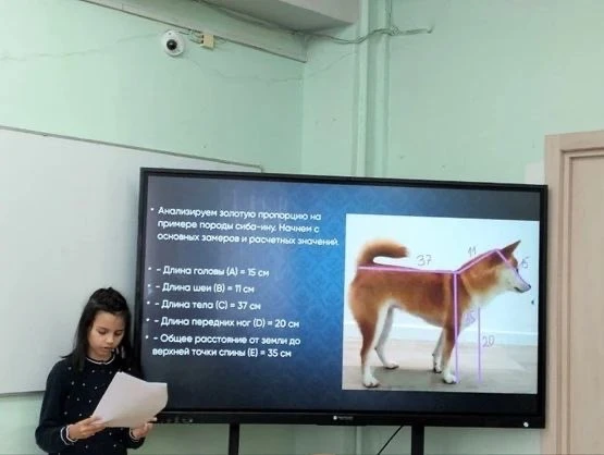 Неделя науки на кафедре математики: от формул к открытиям  В рамках традиционного Дня науки в МАОУ Д