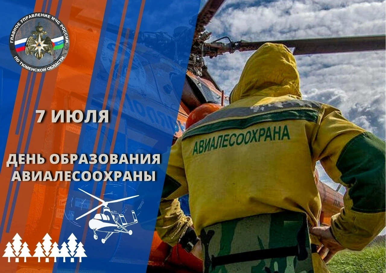 🚁 В 2026 году система авиационной охраны лесов России отмечает свой 95‑летний юбилей!
