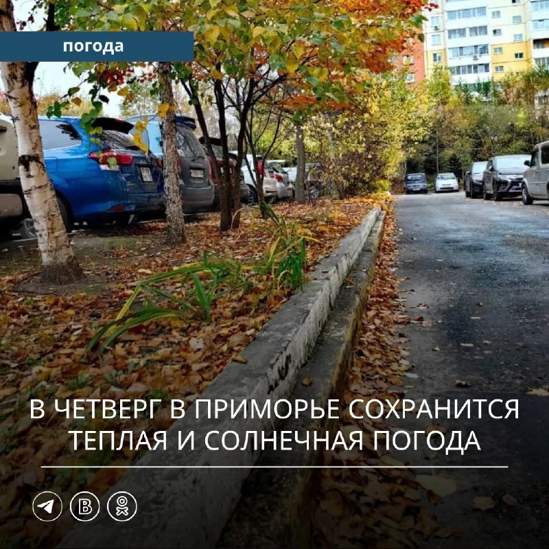 Коротко: главное