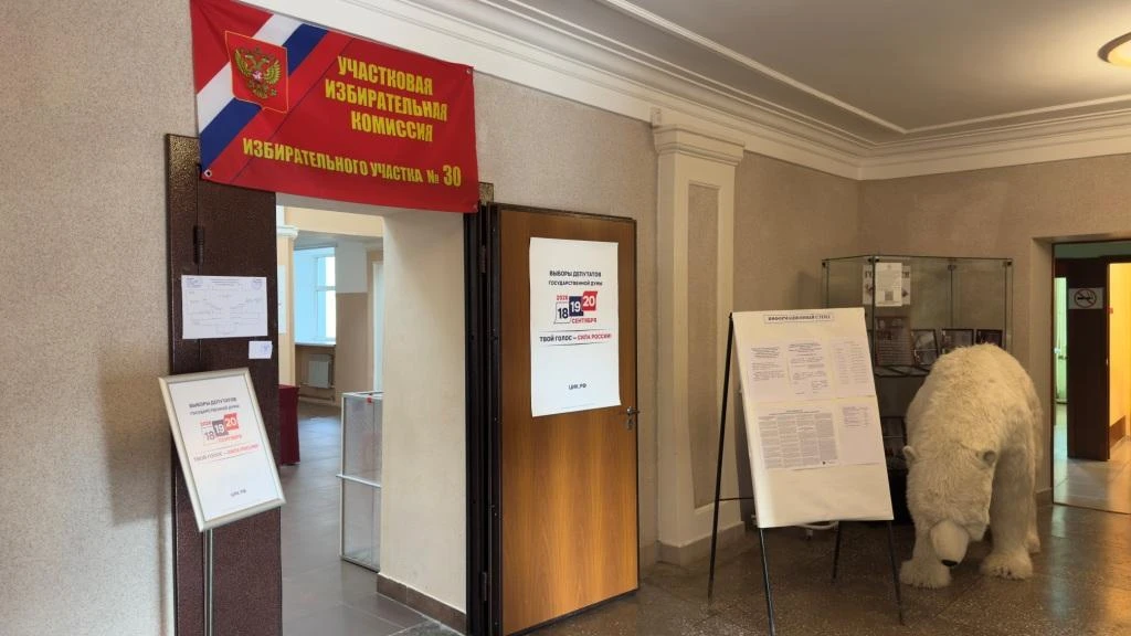 🗳 Голосование началось