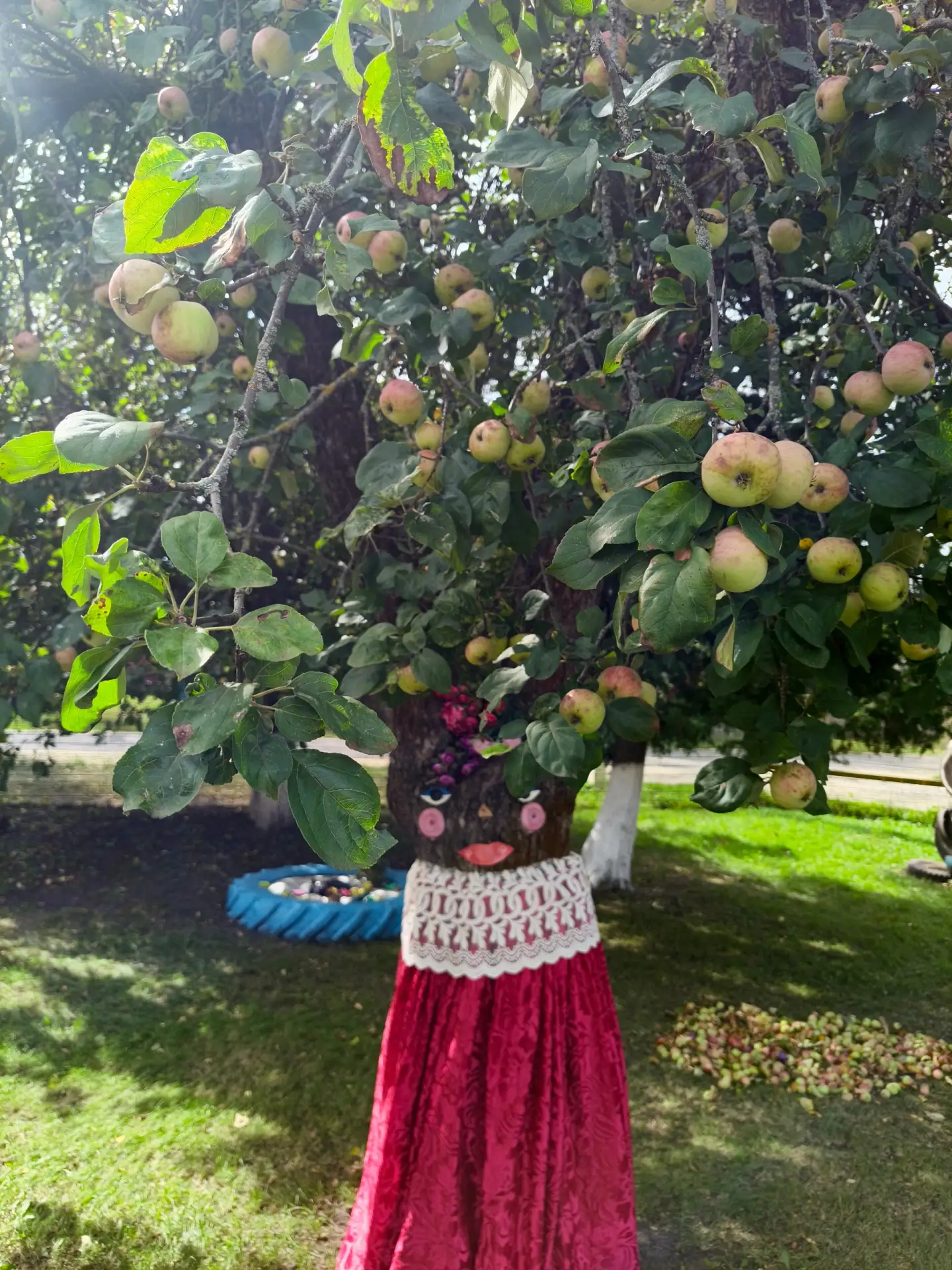 Пришёл Спас - яблочко🍎 припас  !